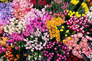 《真女神转生5》恶魔介绍：命运女神诺伦