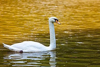 阿迪达斯Xbox推出又一款联名鞋 售价140美元