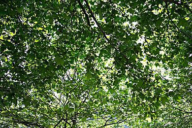 《深夜拉面》7月24日登陆Steam 哲理系叙事游戏